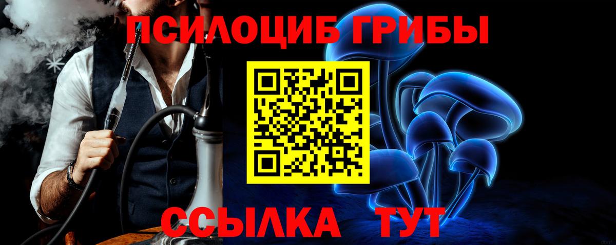 Псилоцибиновые грибы мухоморы Апшеронск